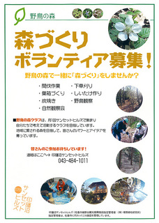 野鳥の森:森づくりボランティア募集